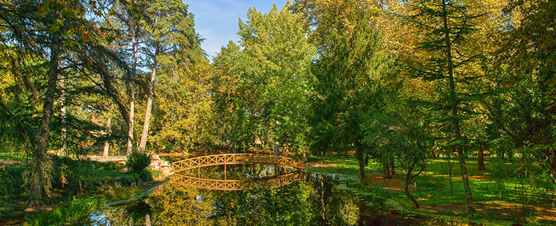 bridge over the lake in Vidago, Portugal, and a green landscape on a sunny day