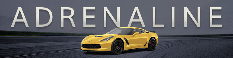 sports car rental adrenaline collection hertz sports car rental adrenaline