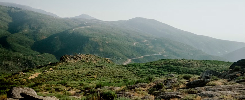 mountain range with vegetation and some rocks on a foggy day