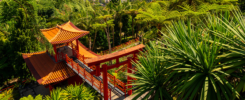 Monte Palace Tropical Garden in Funchal, Madeira, featuring lakes, exotic vegetation, and traditional architecture.