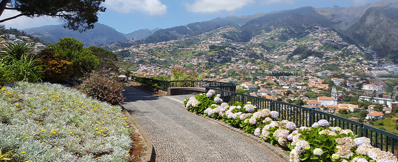 Panoramic view from Pico dos Barcelos viewpoint in Funchal, Madeira, overlooking the ocean and the city below.
