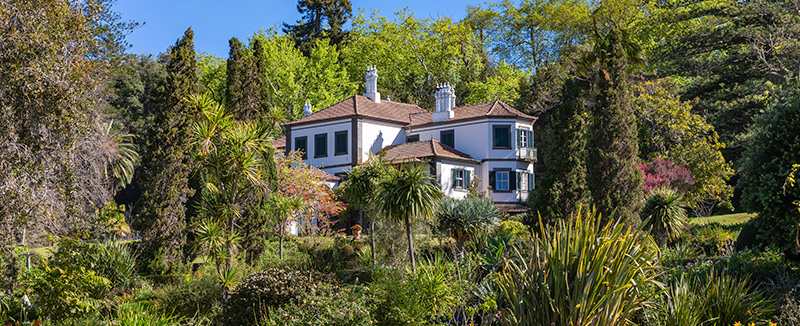 Palheiro Gardens in Madeira, Portugal, featuring colorful flowers and lush green landscapes perfect for peaceful walks.