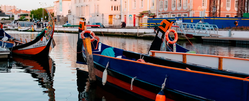 barcos moliceiros coloridos atracados na ria de aveiro