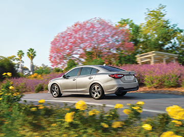 Union Plus logo on top of a background image of a yellow field with a minivan driving by. 