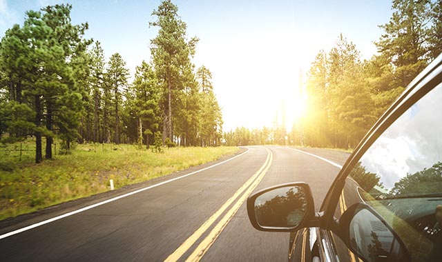 View of a bright golden sunrise from a black car's rear passenger window as it drives down a road in the woods.